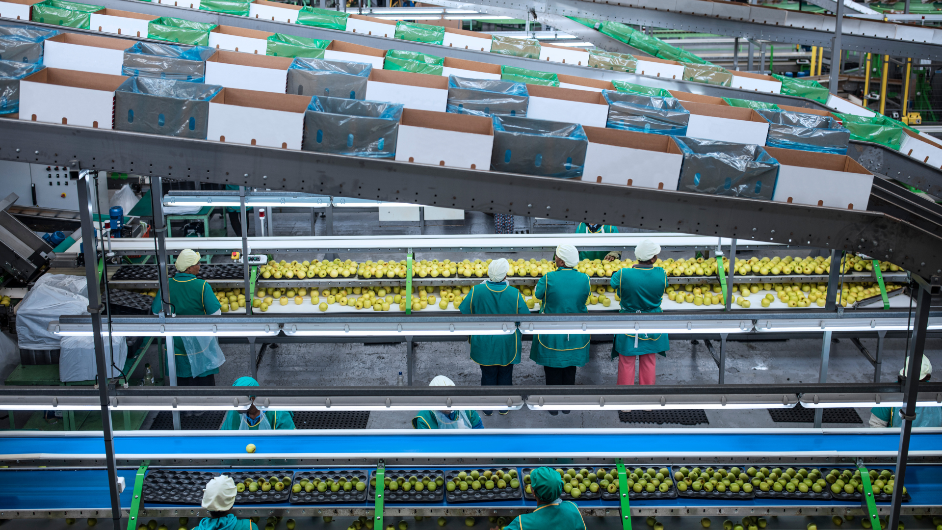 Top Conveyor Manufacturers India